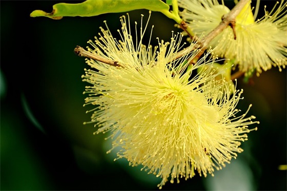 最感动的孩子祝福语 最感动的新年祝福语