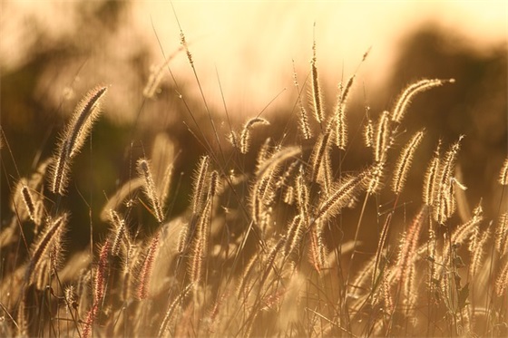 给老人的生日祝福语 老人生日暖心祝福语