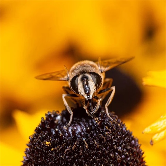 文艺的十月你好祝福语