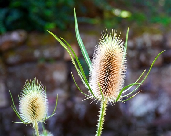 每日晨语分享正能量早安短句子(每日一句正能量早安)