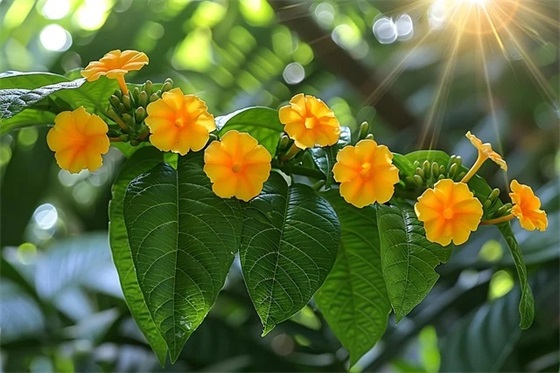 表白句子古文27句