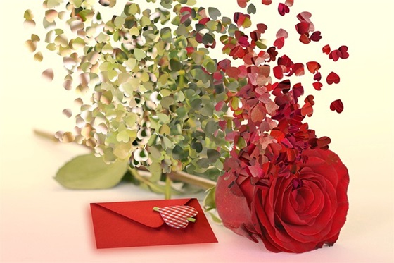 没有情人的情人节 讽刺情人节的句子