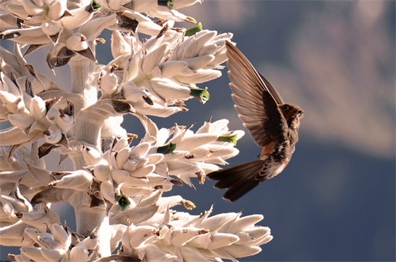 爱生活爱自己的句子简短