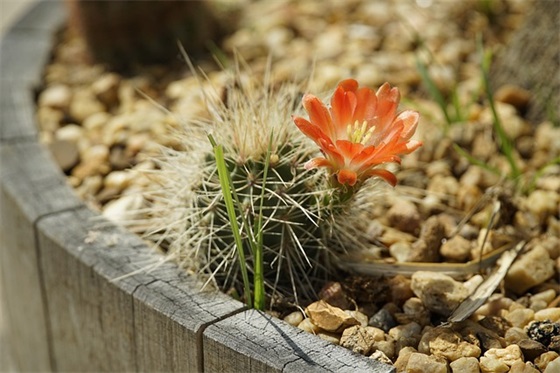 鼓励人坚持的句子 鼓励人坚持锻炼的句子