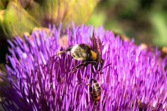 富有内涵的句子大全 成熟有内涵的句子