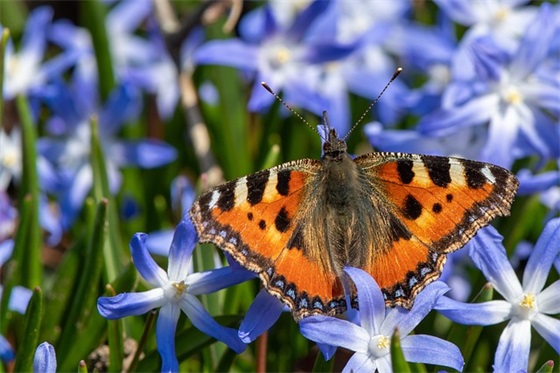 110周年校庆祝福语20句