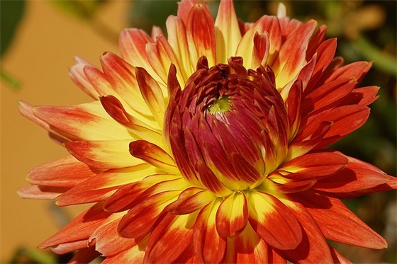 送给女儿结婚祝福语 给女儿的结婚祝福语