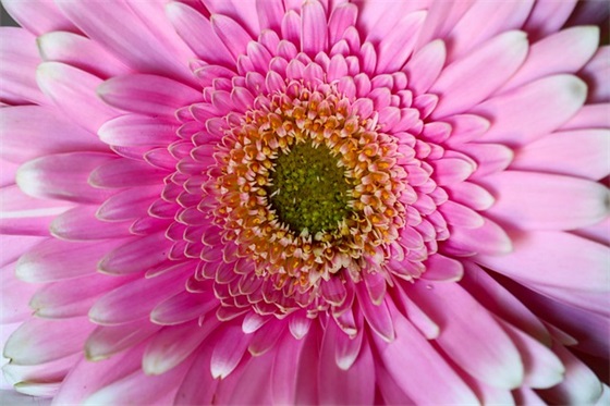 2026年对孩子春节祝福语大全34句