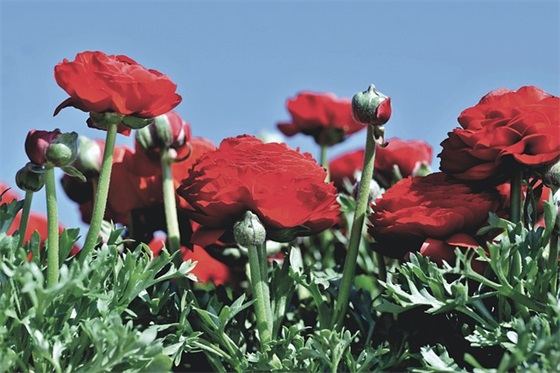 幼儿园毕业孩子祝福语48句