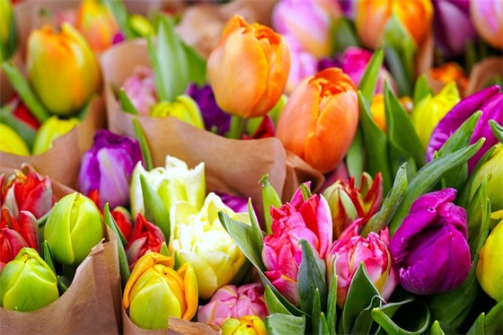 幽默生日祝福语简短 字生日祝福语