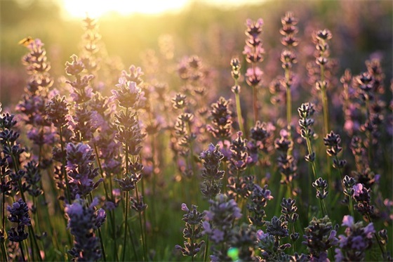 一岁生日祝福语23句