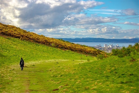 经典标语 红色经典标语