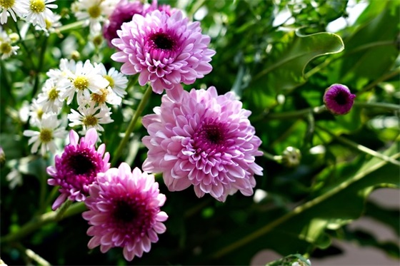 教师阳光体育口号 阳光体育口号