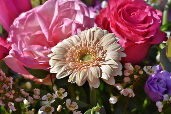 关于凝聚力的班级口号 口号班级凝聚力的口号