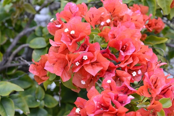 电商企业双十一宣传口号44句