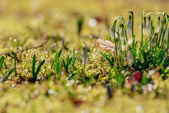 路政标语 路政安全标语