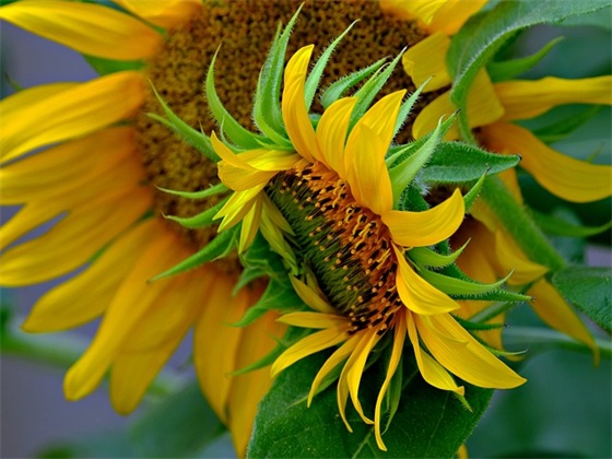 人居环境综合整治宣传标语