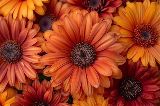 初二百日誓师口号 百日誓师学生口号