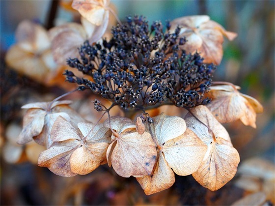 防灾减灾标语口号大全 防灾减灾知识口号