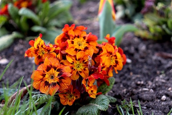 运动会加油口号霸气押韵个人