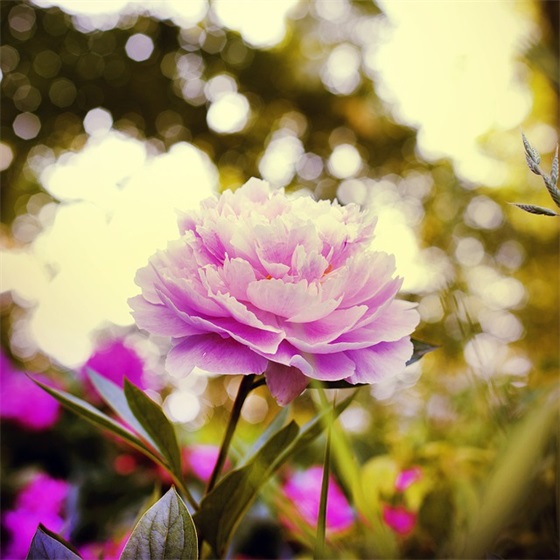 关于图书阅览室的宣传标语