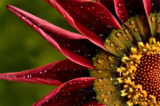 运动会加油口号简短 运动会加油口号简短10字