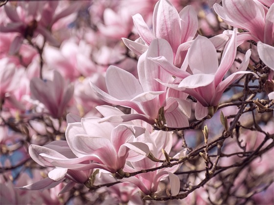 16字销售口号 16字销售团队口号霸气