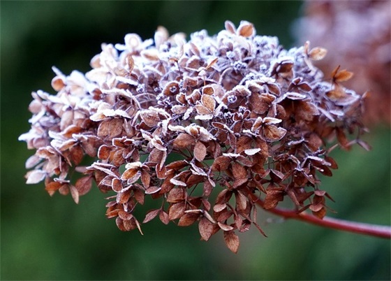 医院洗手标语57句 医院洗手标语57句