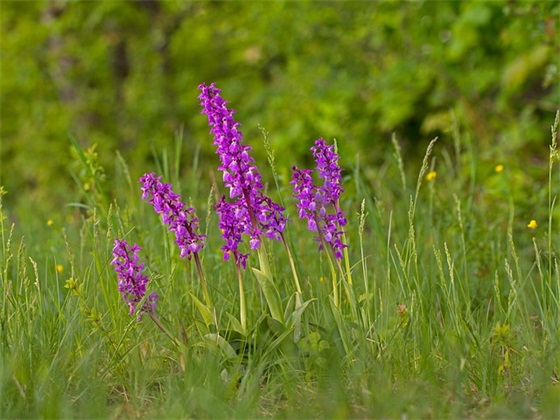 平安建设交通宣传标语 2026年平安建设宣传标语