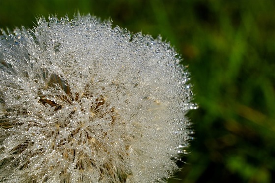 坚决抗击新型冠状病毒肺炎标语大全