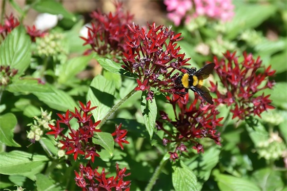 木业广告标语76句