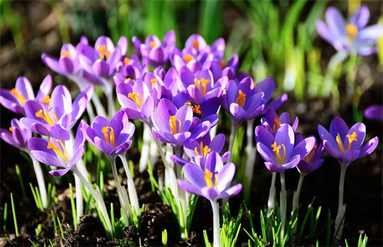 八字高考口号霸气押韵89句