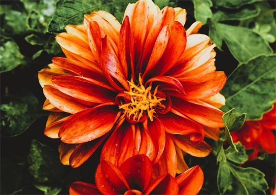 2026运动会班级经典入场口号