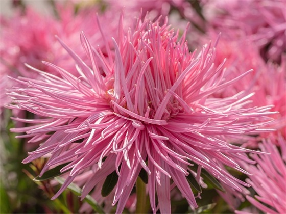 旅游公司宣传口号83句