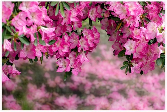 酒店的口号大全83句