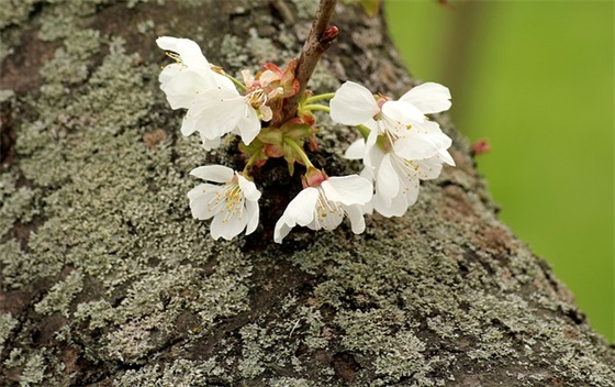 精选的员工上班口号大全 员工精神口号大全8字