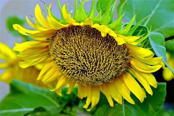 2026年防溺水教育安全标语 防溺水标语 2026年防溺水教育安全标语 防溺水标语