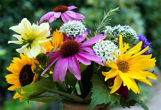 节约粮食主题宣传教育标语简短文案