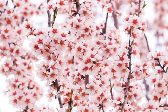 八字霸气运动会口号90句