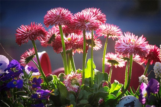 繁华的城市迷茫的句子 繁华城市孤独的句子