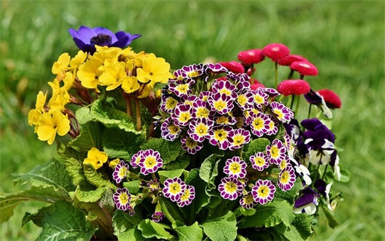 形容没钱好无奈的句子 2026年没钱寸步难行的句子