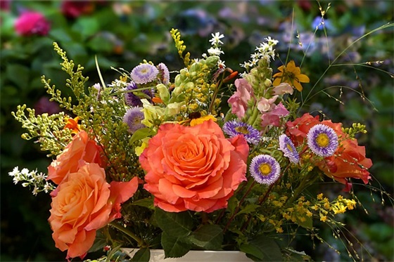 净化心灵佛家句子