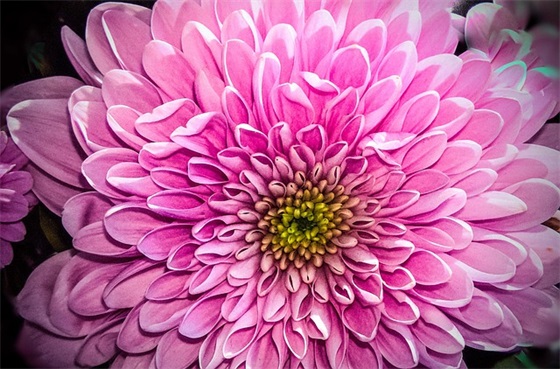 带有侧面描写的优美句子有哪些？