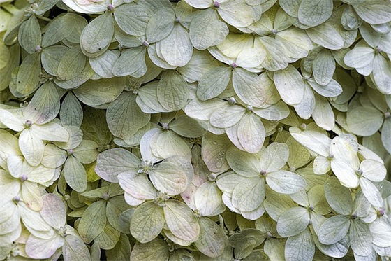 惊艳了世人的原耽文案 原耽神仙句子摘抄励志