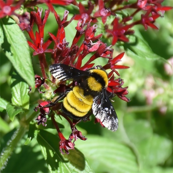 正能量清新文艺的句子 正能量文艺短句