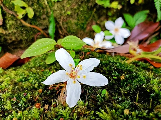 享受亲子时光的句子 享受亲子时光的心情句子