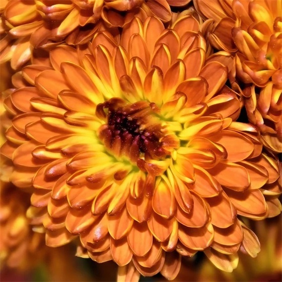 2026最励志文艺的句子短句素材