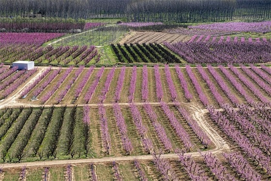 交通安全警句标语 幼儿园交通安全标语警句
