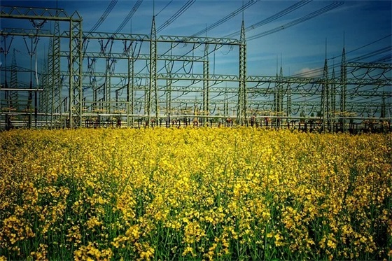 迎世博的文明标语 文明校园迎检标语