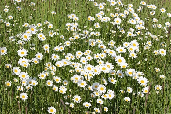 儿童游乐场安全标语口号34句